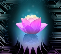 Electro Lotus