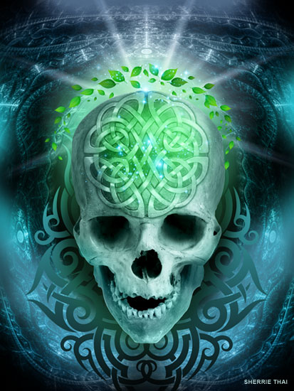 celtic skull drawing