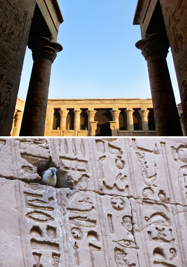 Egypt Temple of Horus Edfu Travel Photo 2, by Sherrie Thai of Shaireproductions
