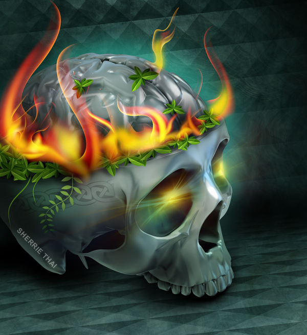 burning skull, art by Sherrie Thai of Shaireproductions.com