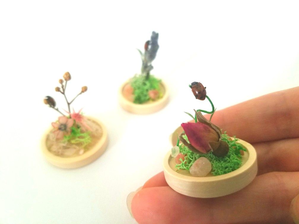 Mini Ladybug Terrarium Display 2, art by Sherrie Thai of Shaireproductions.com