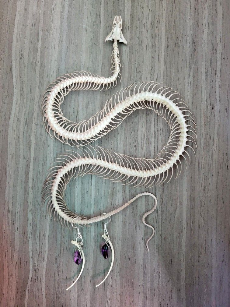 snake rib earrings 2, art by Sherrie Thai of Shaireproductions.com