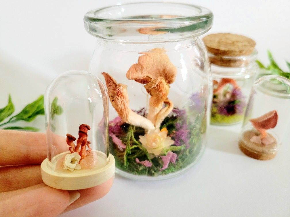 pink mushroom jar dome set 4, art by Sherrie Thai of Shaireproductions.com