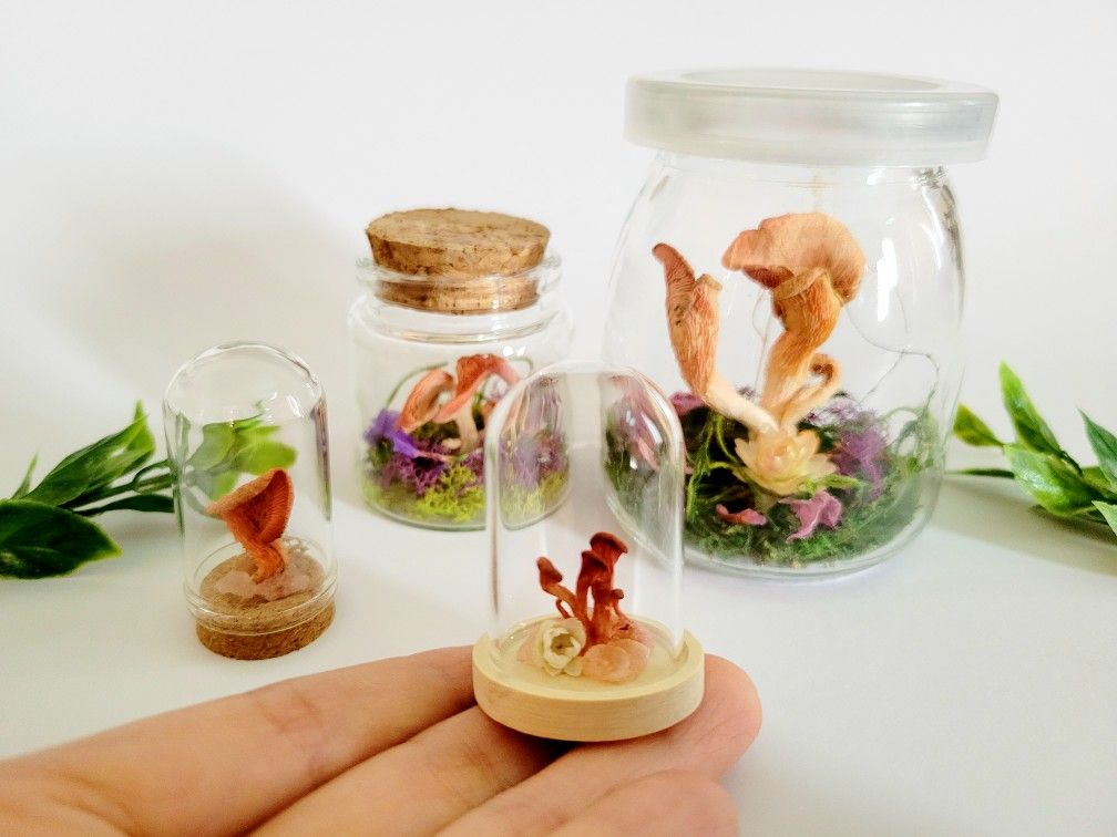 pink mushroom jar dome set, art by Sherrie Thai of Shaireproductions.com