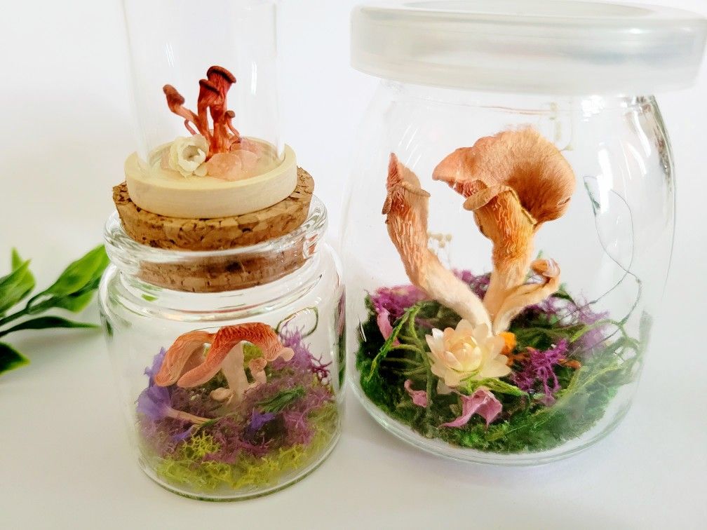 pink mushroom jar dome set 3, art by Sherrie Thai of Shaireproductions.com