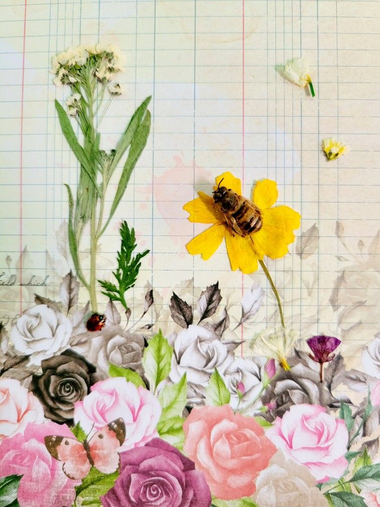 real bee on vintage paper with dried florals, art by Sherrie Thai of Shaireproductions.com
