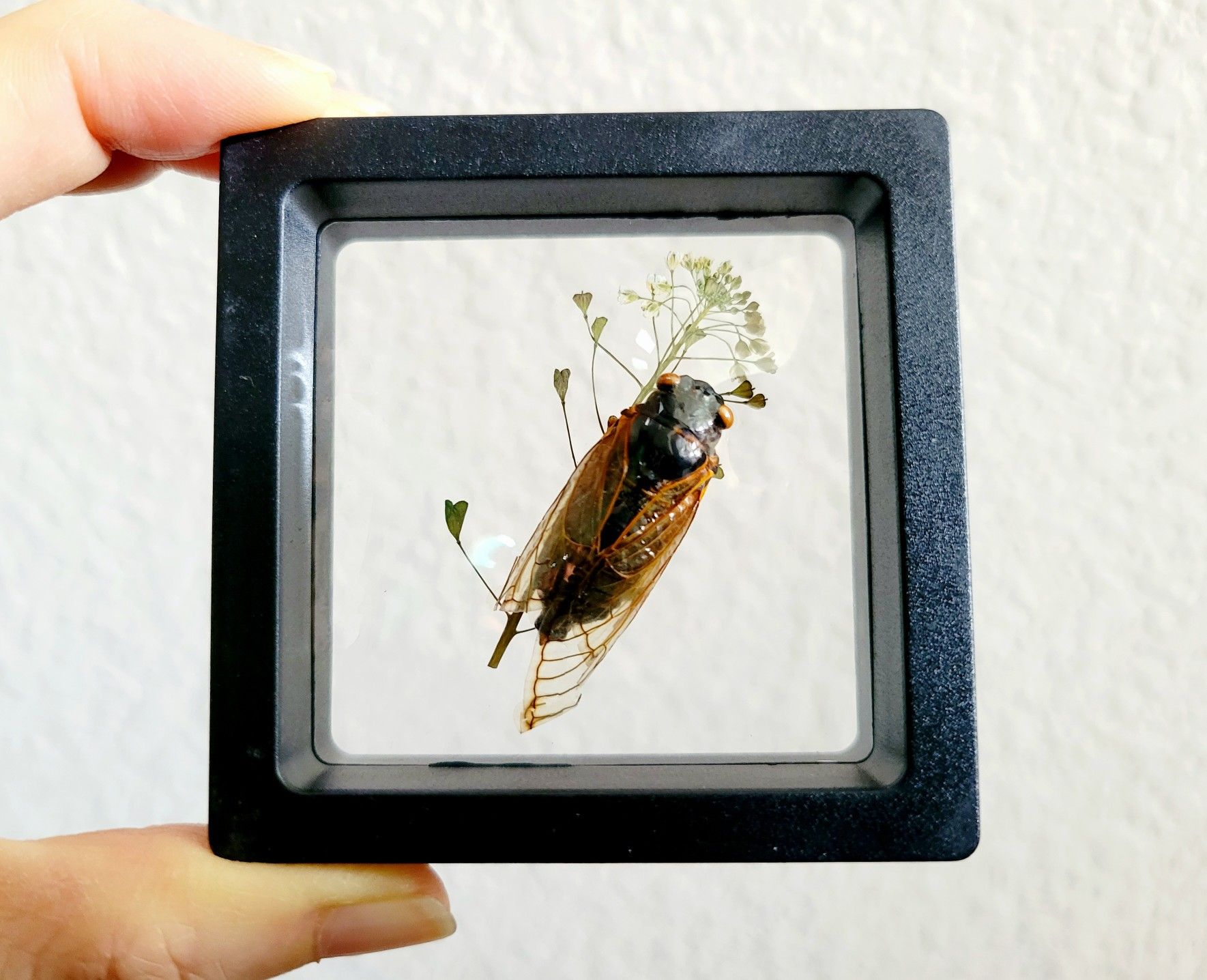 brood x cicada decor with dried leaves, art by Sherrie Thai of Shaireproductions.com