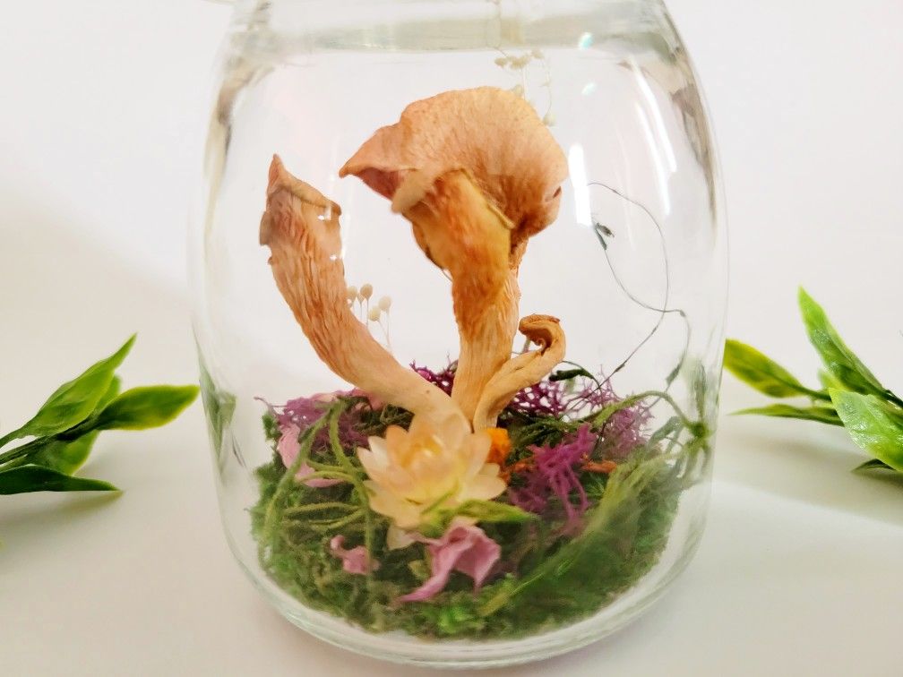 pink mushroom cluster jar, art by Sherrie Thai of Shaireproductions.com