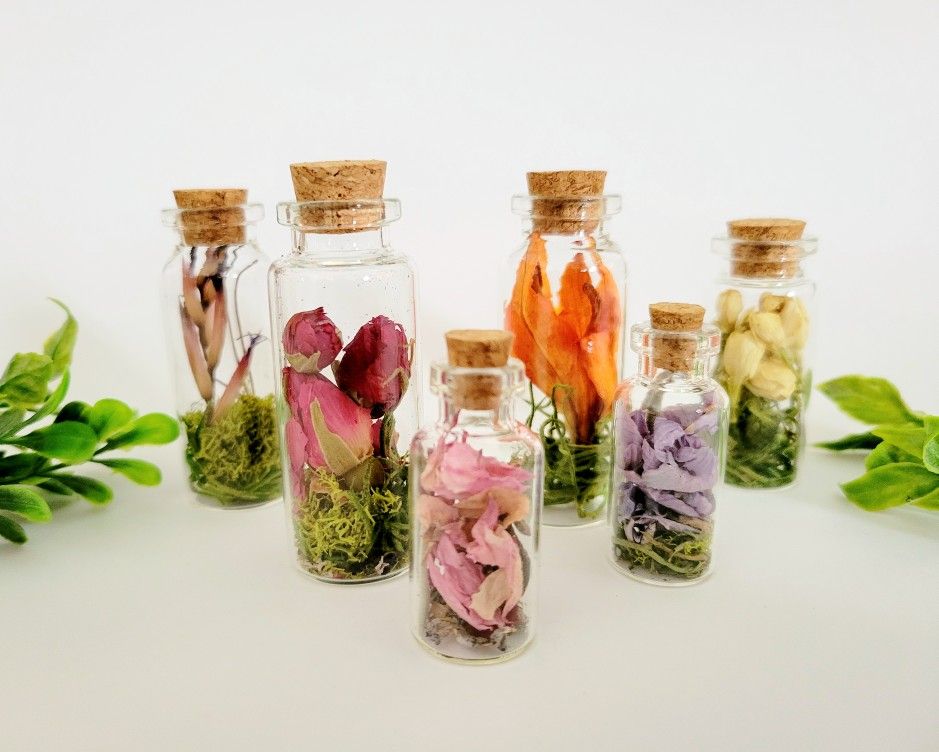 Dried Flower Mini Herbarium Specimen Jars, Set of 3, Curio