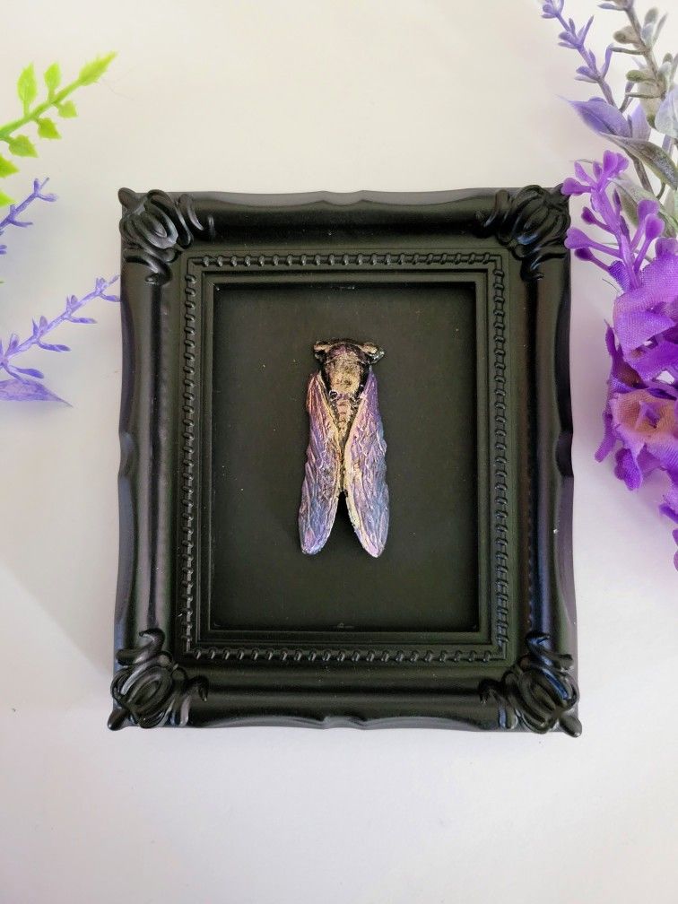 framed cicada decor, art by Sherrie Thai of Shaireproductions.com