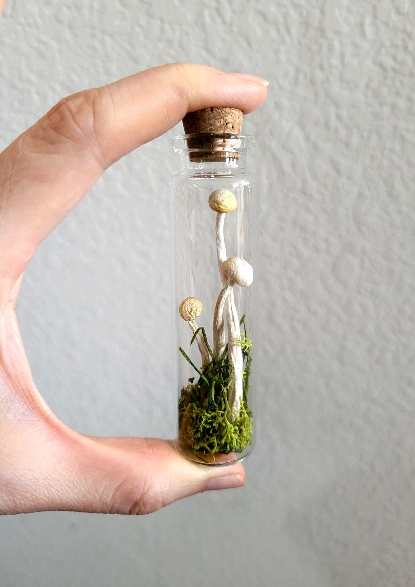 mushroom curiosity green jar, art by Sherrie Thai of Shaireproductions.com