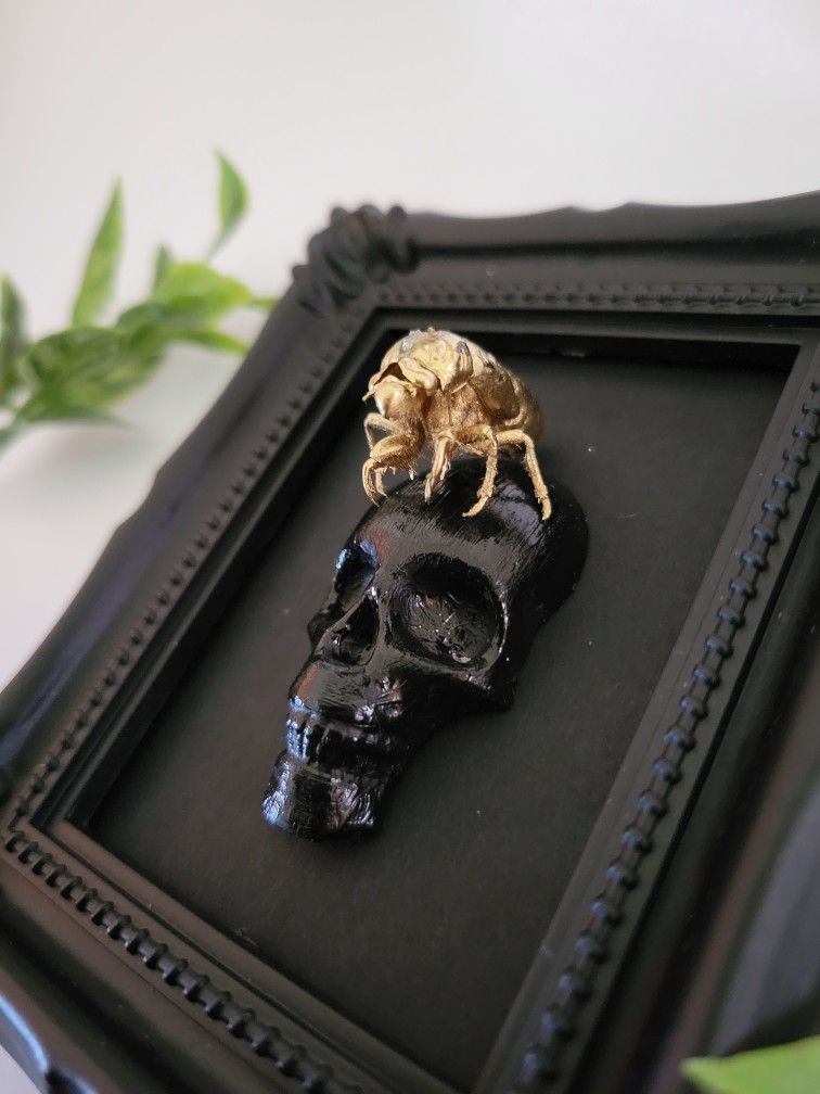 framed skull cicada decor 2, art by Sherrie Thai of Shaireproductions.com