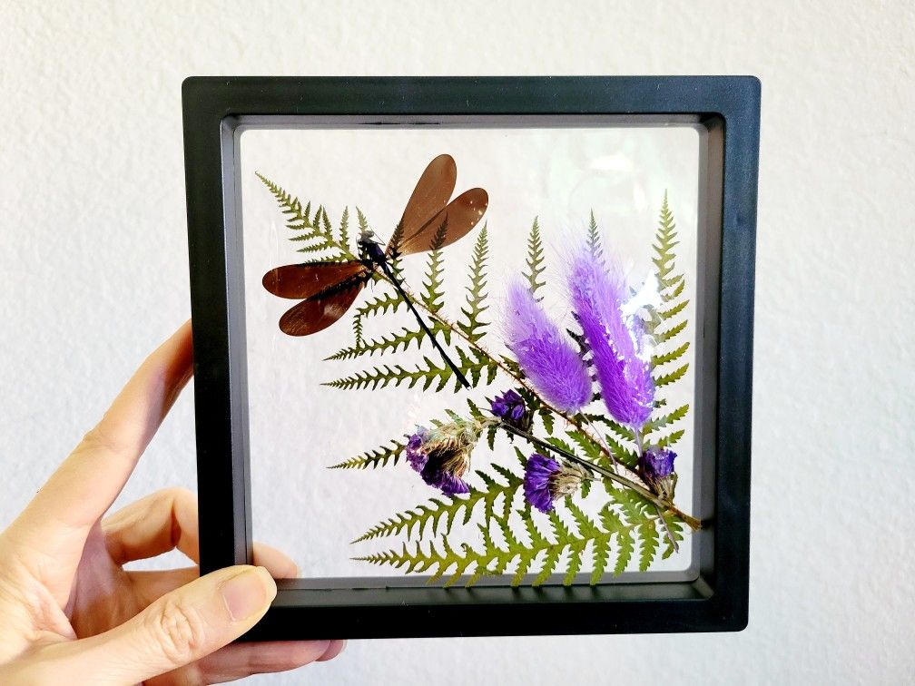 dragonfly specimen decor with purple bunny tail plants, art by Sherrie Thai of Shaireproductions.com