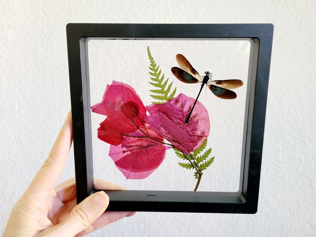 pink bougainvillea dragonfly specimen decor, art by Sherrie Thai of Shaireproductions.com