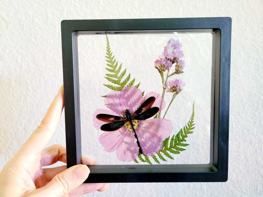 purple dragonfly specimen decor, art by Sherrie Thai of Shaireproductions.com