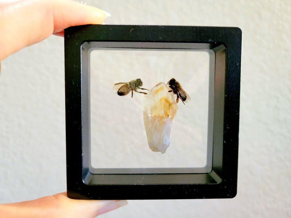 bees citrine decor, art by Sherrie Thai of Shaireproductions.com