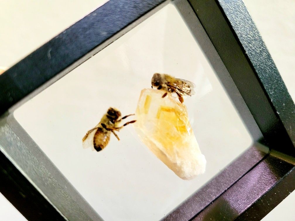 bees citrine decor 2, art by Sherrie Thai of Shaireproductions.com
