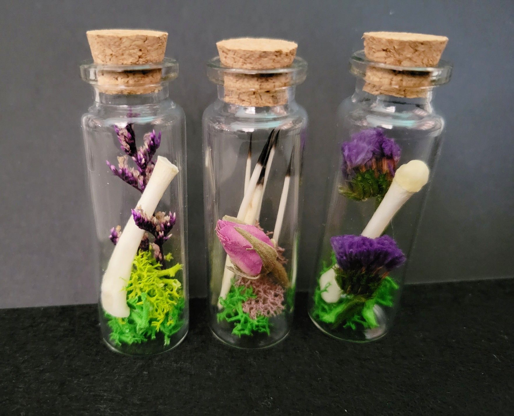 bone curio jars, art by Sherrie Thai of Shaireproductions.com