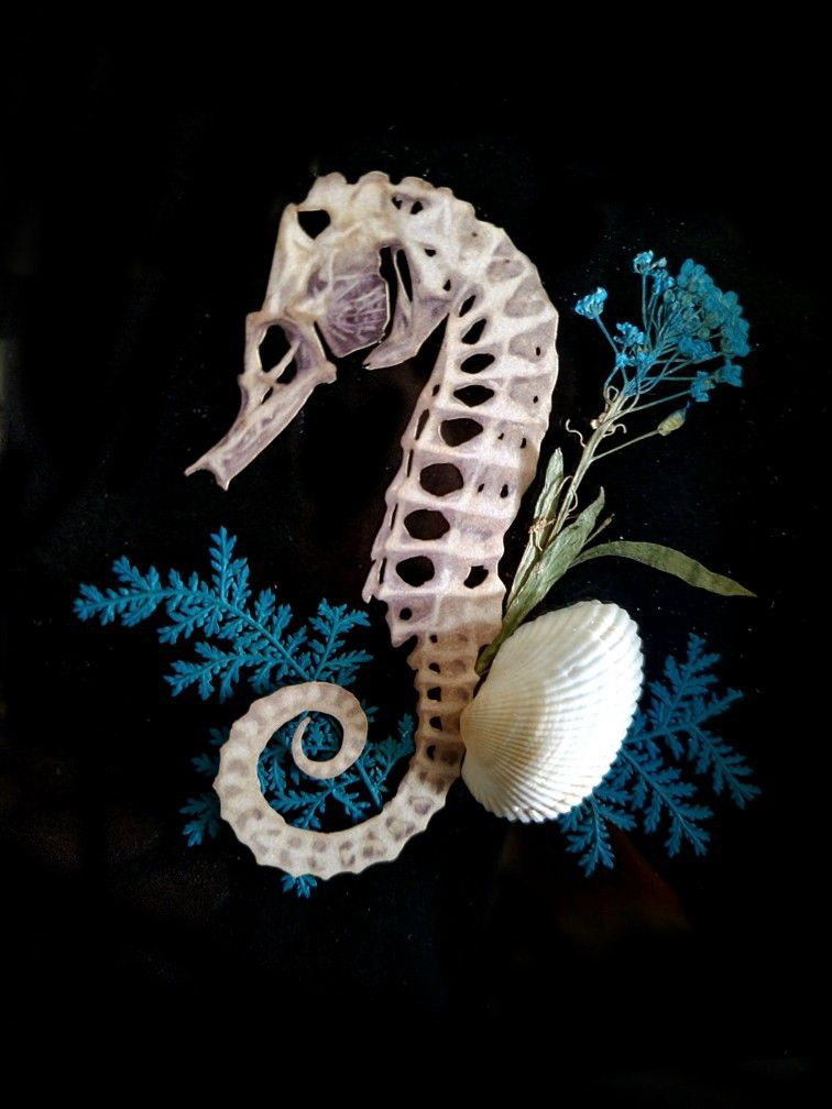 seahorse paper specimen assemblage art, art by Sherrie Thai of Shaireproductions.com