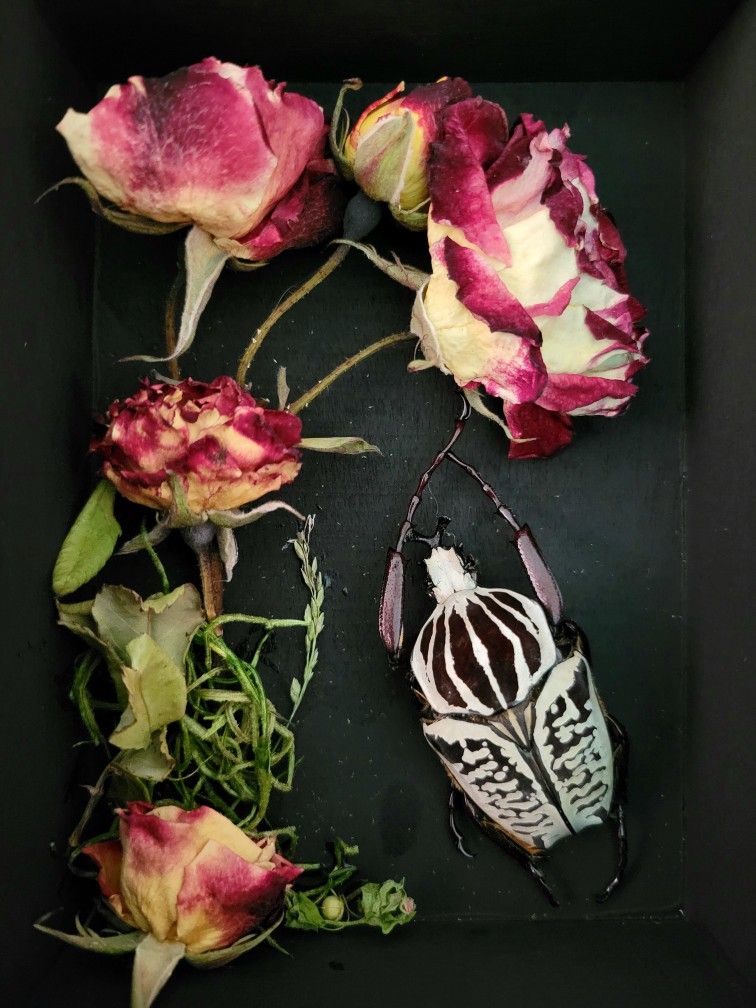 goliath beetle roses decor, art by Sherrie Thai of Shaireproductions.com
