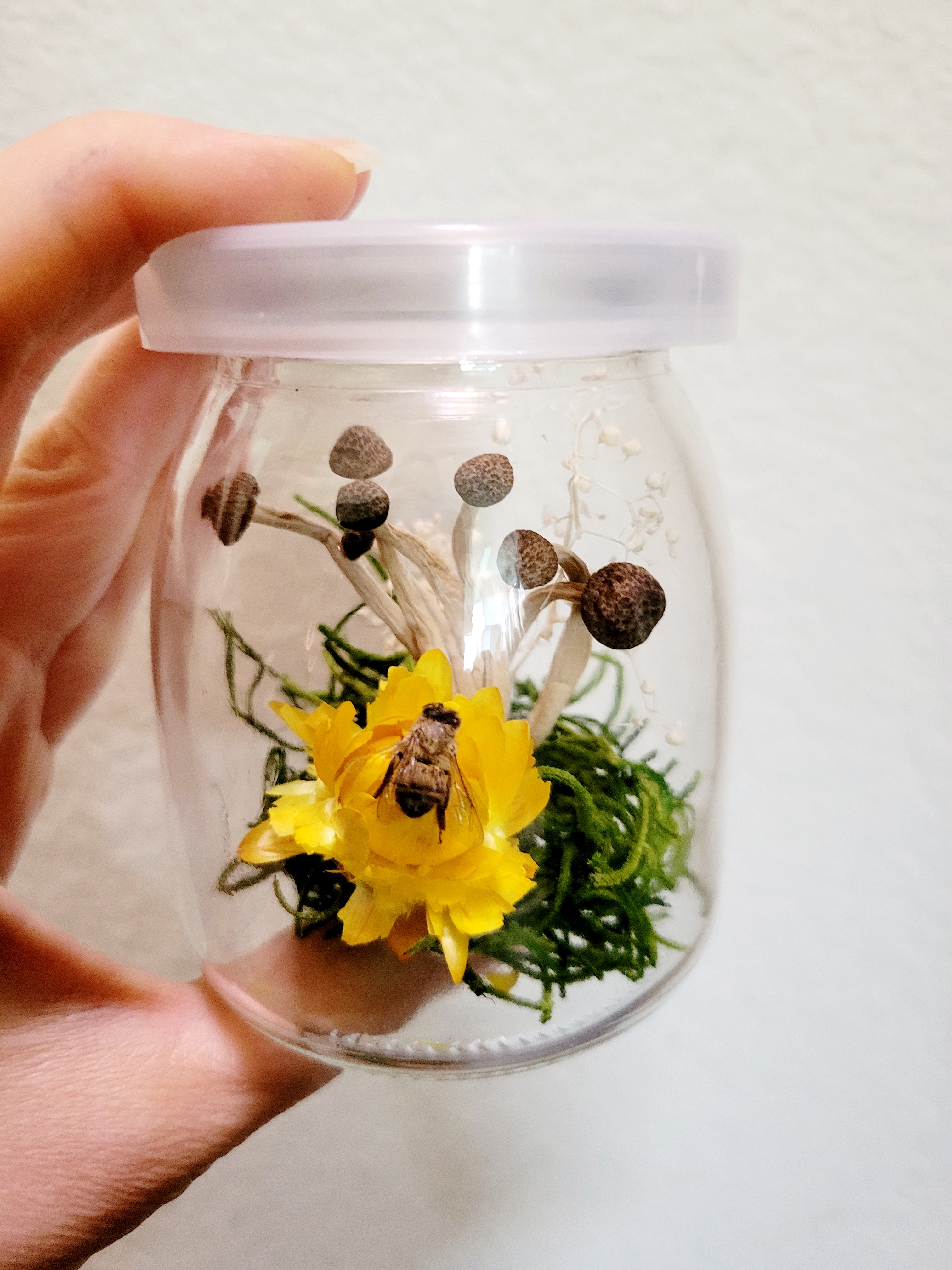 bee mushroom jar, art by Sherrie Thai of Shaireproductions.com