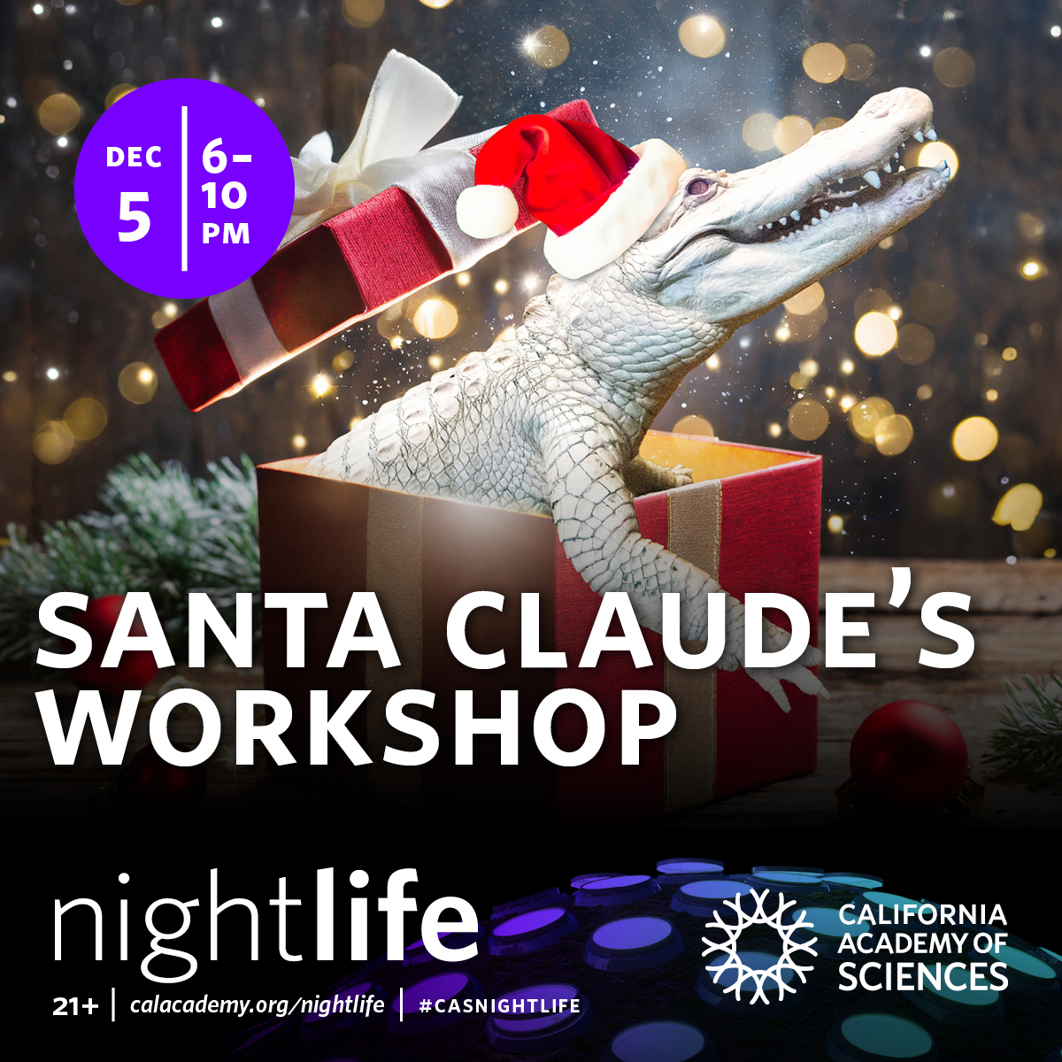 calacademy nightlife flyer