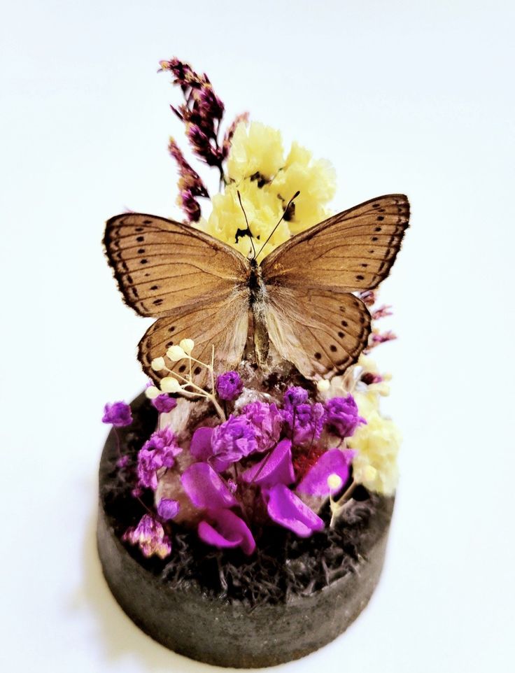 lilac purple butterfly decor 1